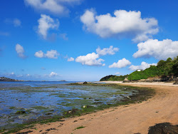 Plage de la Tossen'in fotoğrafı - rahatlamayı sevenler arasında popüler bir yer
