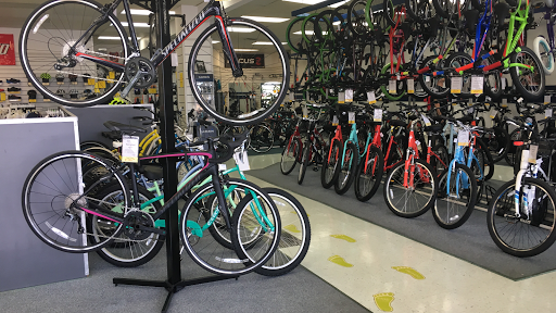 Bicycle Store «Chainwheel Drive», reviews and photos, 32796 US Hwy 19 N, Palm Harbor, FL 34684, USA