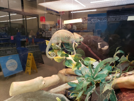 Pet Supply Store «PetSmart», reviews and photos, 27161 Crossroads Pkwy, Rossford, OH 43460, USA