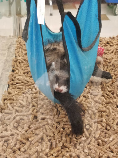 Pet Supply Store «Pet Supplies Plus», reviews and photos, 500 S St W, Raynham, MA 02767, USA