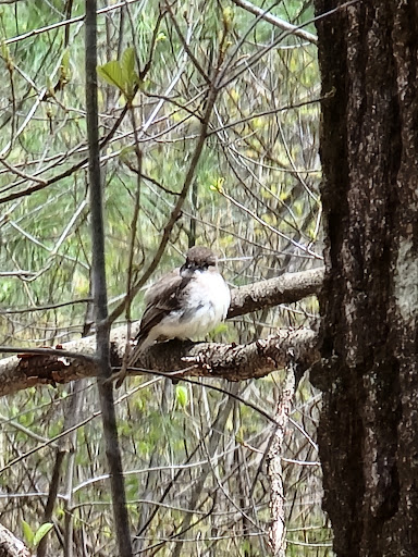 Wildlife Refuge «Great Meadows National Wildlife Refuge», reviews and photos, 73 Weir Hill Rd, Sudbury, MA 01776, USA