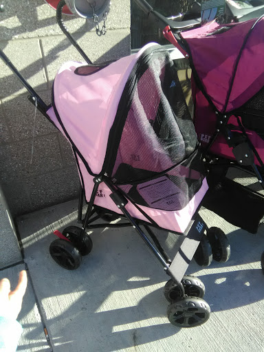 Pet Supply Store «Premier Pet Supply», reviews and photos, 63 W Auburn Rd, Rochester Hills, MI 48307, USA