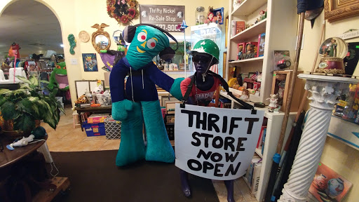 Thrift Store «Thrifty Nickel Tampa Thrift Store Re-Sale», reviews and photos, 7706 W Hillsborough Ave, Tampa, FL 33615, USA