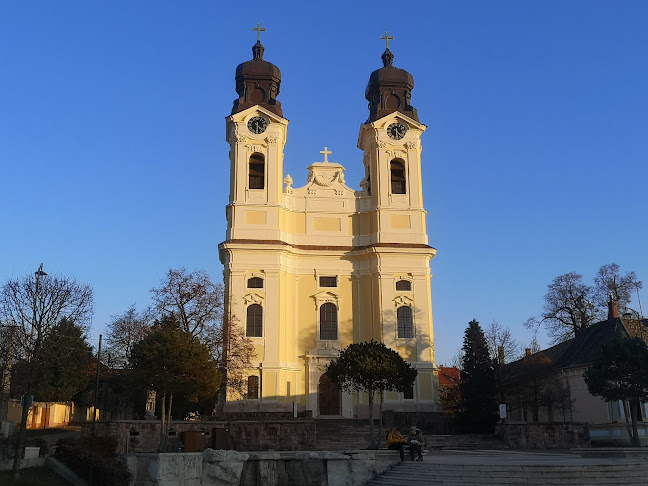 Catholic Church