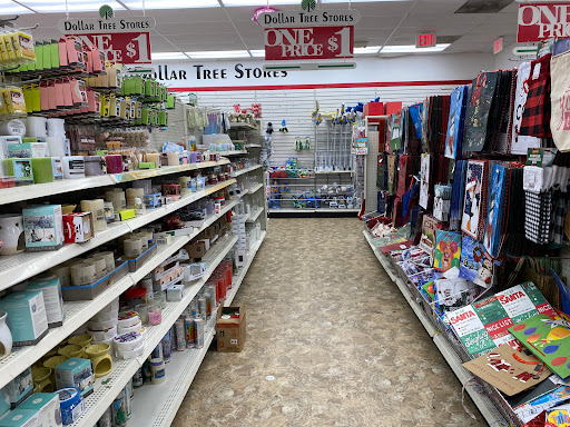 Dollar Store «Dollar Tree», reviews and photos, 9534 Main Street, Fairfax, VA 22031, USA