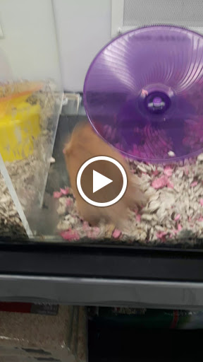 Pet Supply Store «Petco Animal Supplies», reviews and photos, 2140 E Blvd St, Kokomo, IN 46902, USA