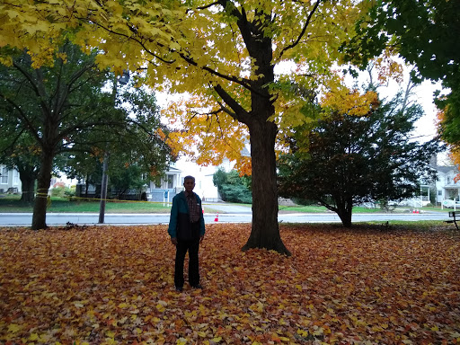 Park «Thrall Park», reviews and photos, 42-21 Grove St, Middletown, NY 10940, USA