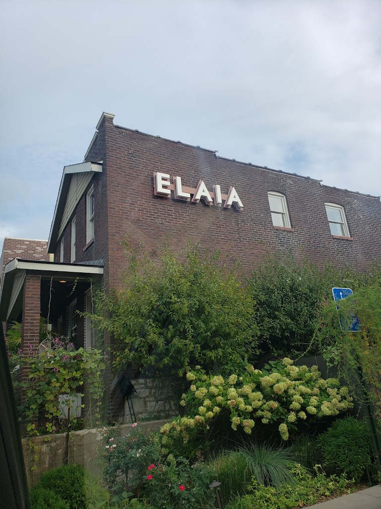 ELAIA 63110