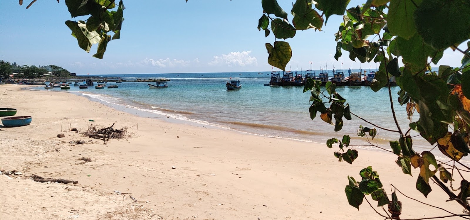 Phuoc  Thien Beach的照片 带有碧绿色纯水表面