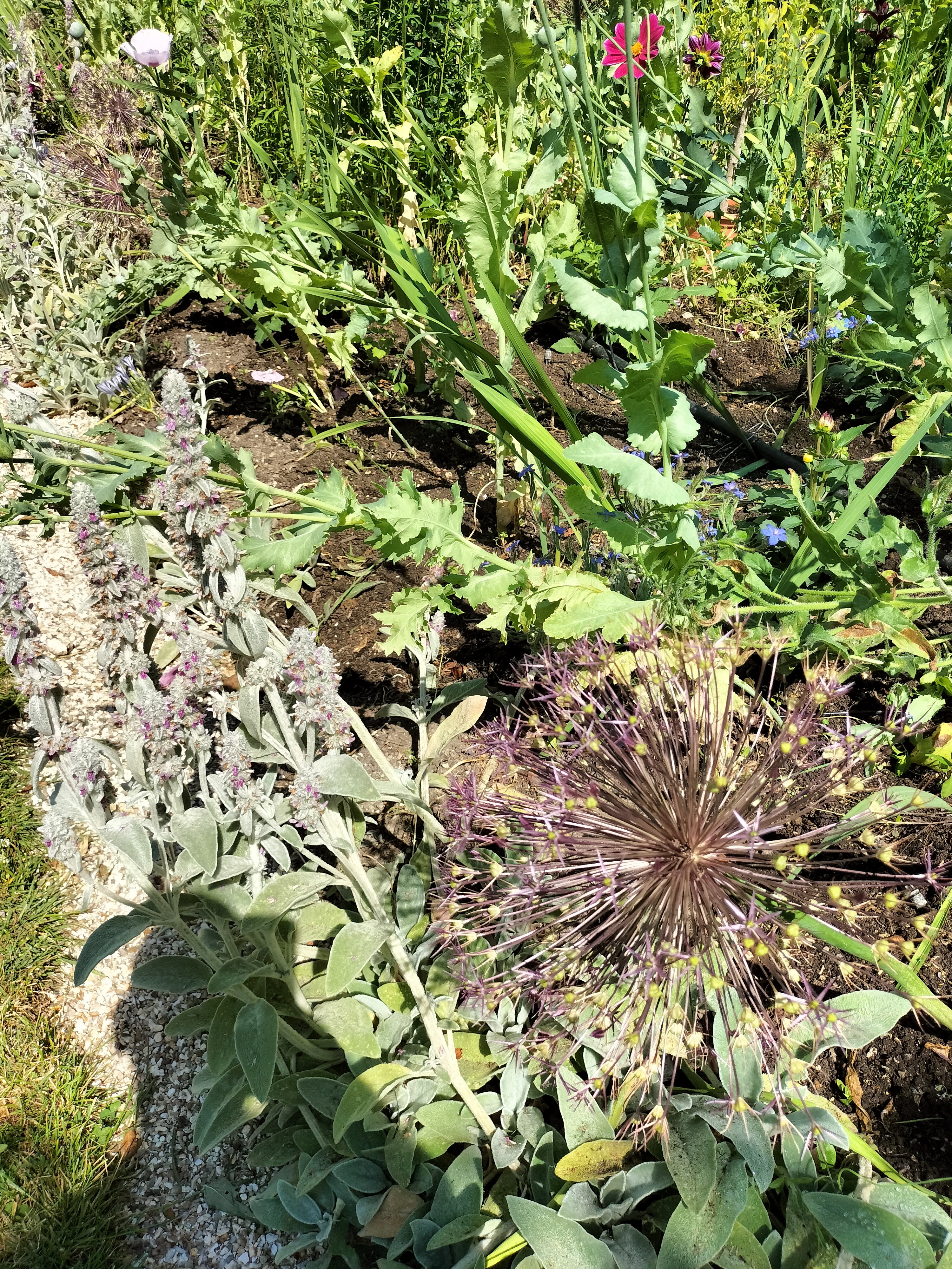 Photo n° 4 de l'avis de didier.e fait le 15/06/2023 à 13:38