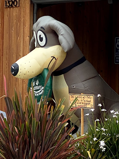 Pet Supply Store «Lemos Feed & Pet Supply», reviews and photos, 1320 Main St, Morro Bay, CA 93442, USA