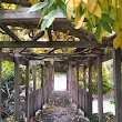 Kuirau Park Serenity Bridge (foot traffic)