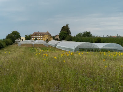 Ferme Saint André à Friedolsheim