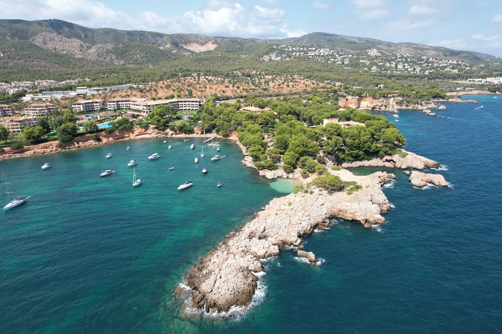 Cala Punta Negra photo #9