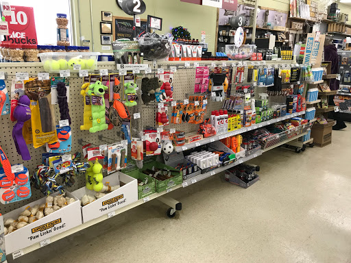 Hardware Store «Great Lakes Ace Hardware», reviews and photos, 29567 Five Mile Road, Livonia, MI 48154, USA