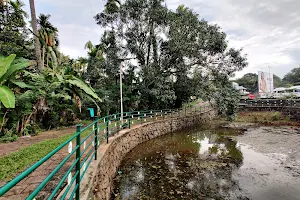 Peringamkulam Pond image