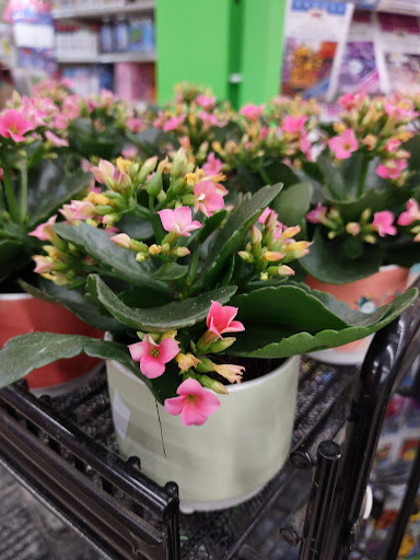 Grocery Store «Riverside Market Inc», reviews and photos, 311 N Oak St, Durand, MI 48429, USA