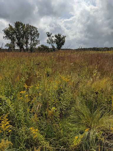 Nature Preserve «Penny Road Pond», reviews and photos, Penny Rd, Barrington, IL 60010, USA