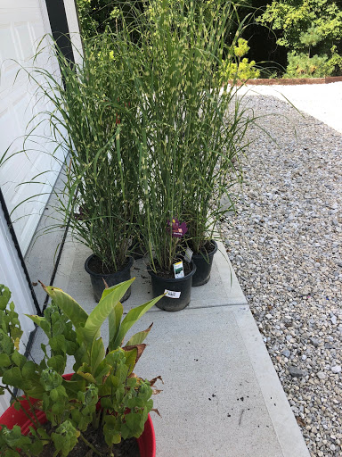 Home Improvement Store «The Home Depot», reviews and photos, 1330 N 21st St, Newark, OH 43055, USA