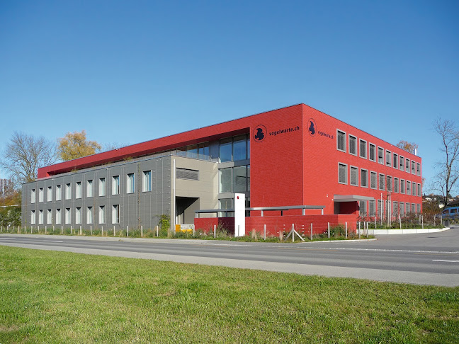 Rezensionen über Bremgartner Innenausbau AG, Schreinerei und Innenausbau in Sursee - Glaser