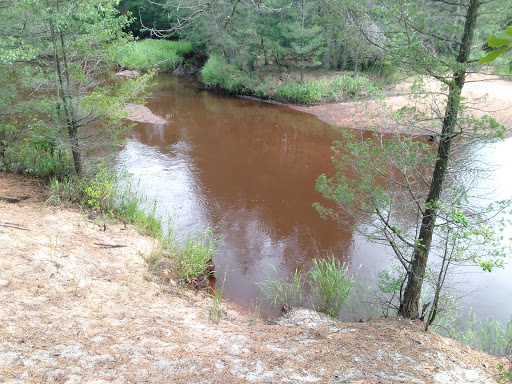 Public Golf Course «Hamilton Trails Golf Club», reviews and photos, 620 Harbor Ave, Mays Landing, NJ 08330, USA