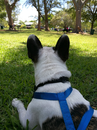Park «David T. Kennedy Park», reviews and photos, 2400 S Bayshore Dr, Miami, FL 33133, USA