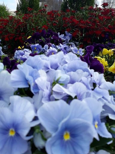 Concert Hall «Cobb Energy Performing Arts Centre», reviews and photos, 2800 Cobb Galleria Pkwy, Atlanta, GA 30339, USA