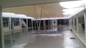 Sena - photo 1