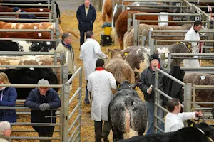 Ballymena Livestock Market image