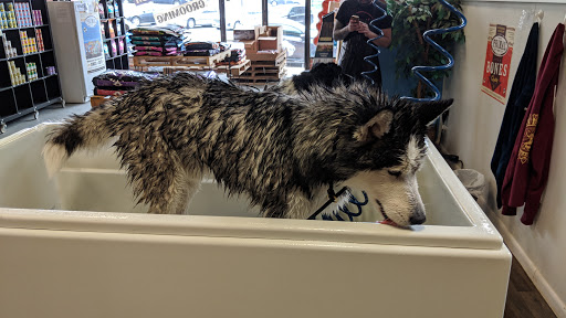 Pet Groomer «That Dog Wash», reviews and photos, 1401 Jackson St, Omaha, NE 68102, USA