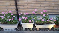 ミュージックサービス松村
