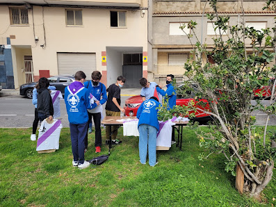 Grupo Scout Mare Nostrum 679 Carrer Mare de Déu dels Desemparats, 13, 03560 El Campello, Alicante, España