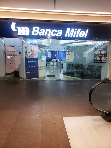 Banca Mifel - Oasis