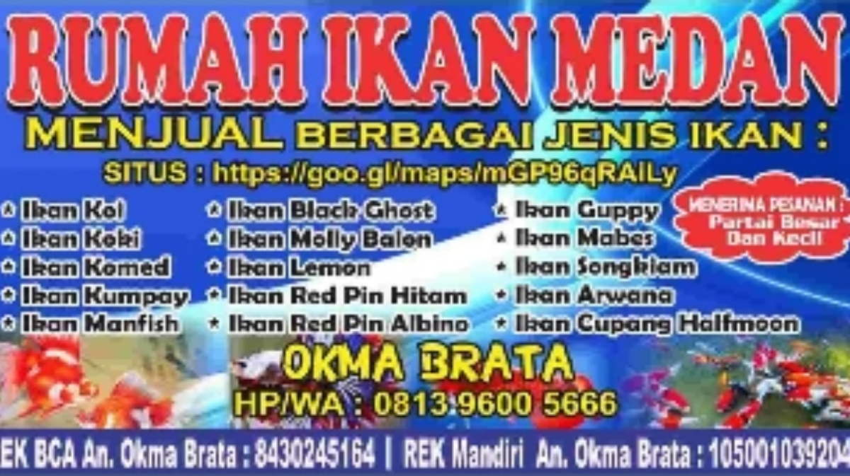 Rumah Ikan Medan Photo