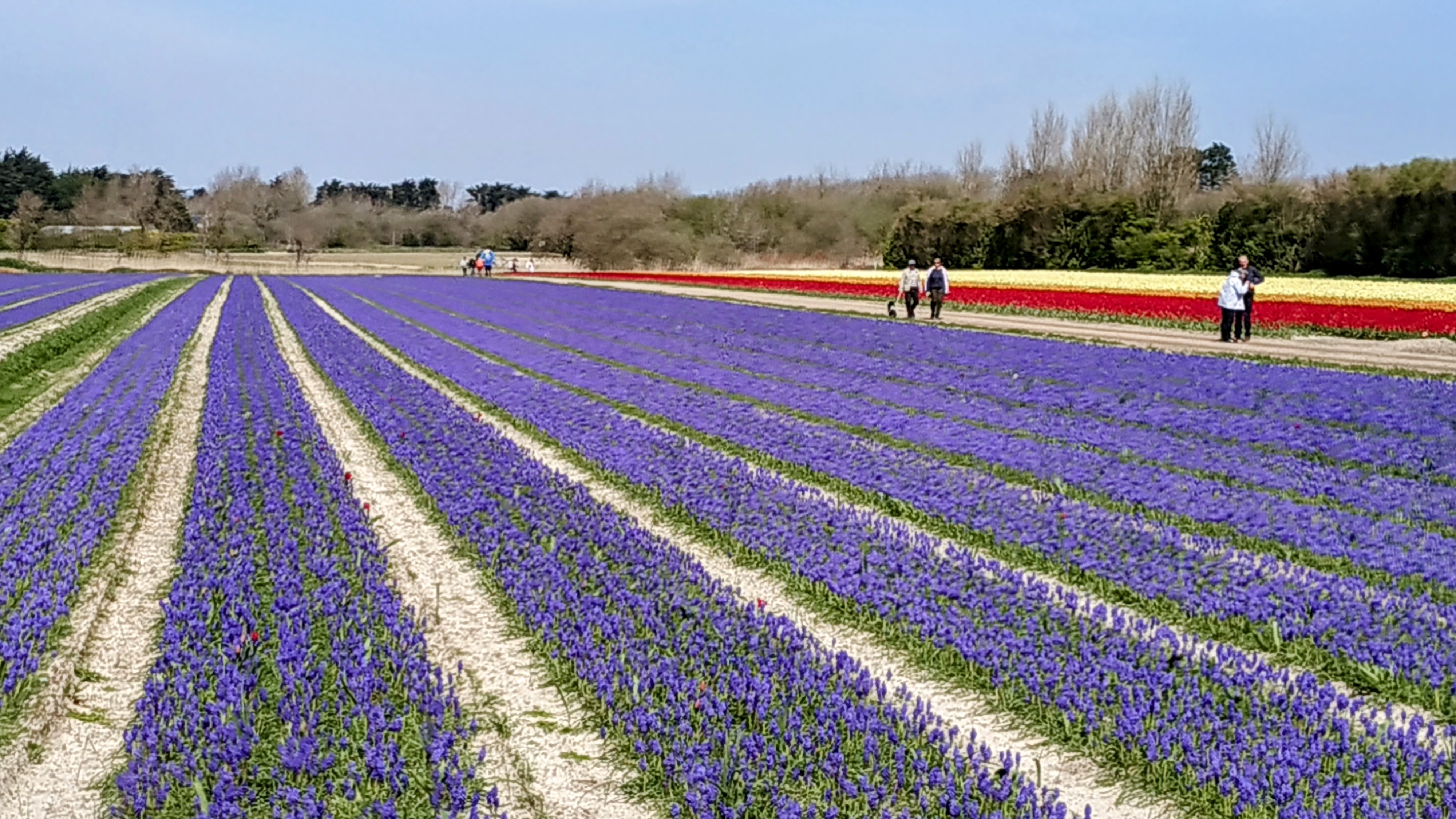 Photo n° 44 de l'avis de The.a fait le 05/04/2023 à 21:57