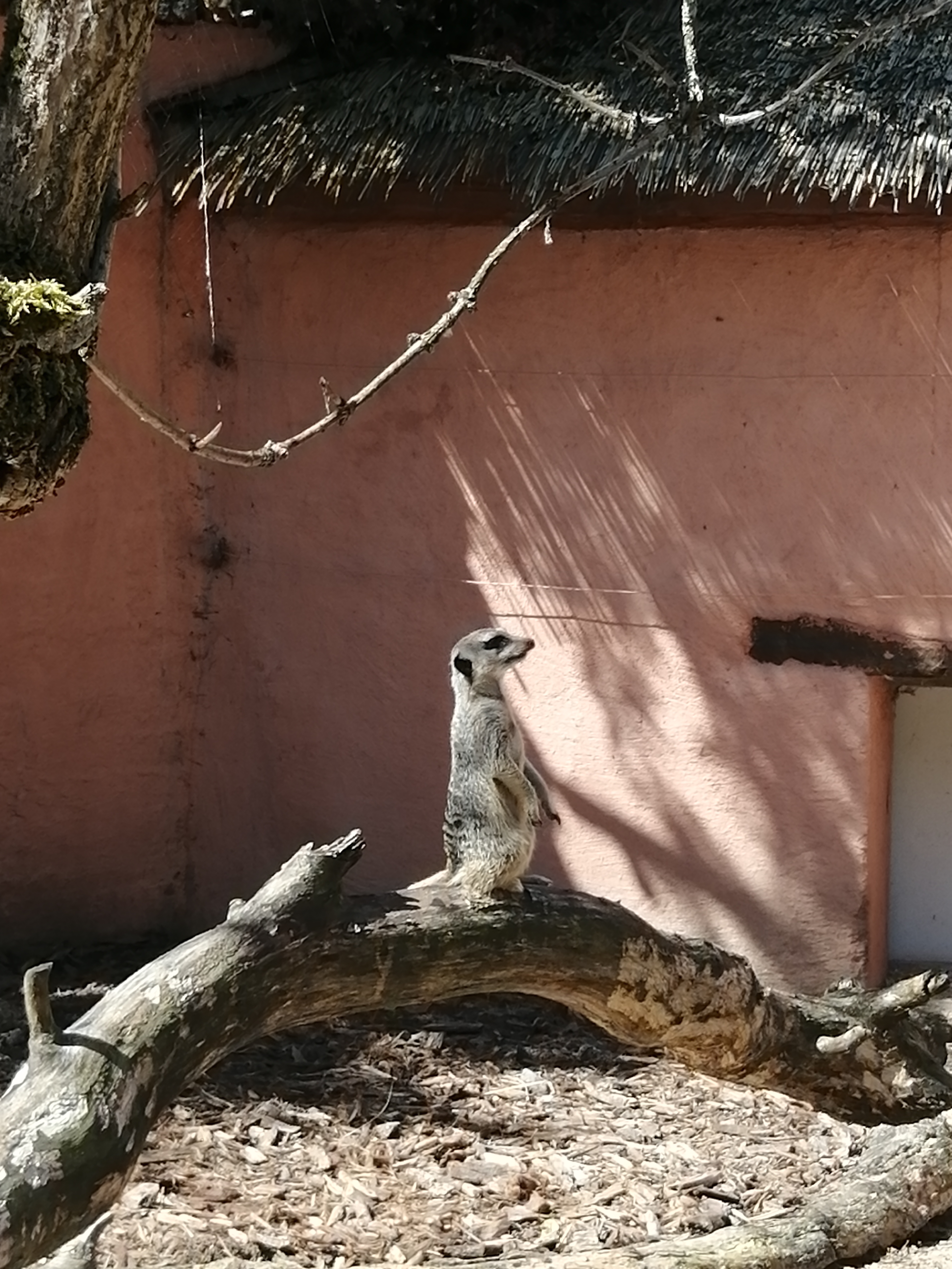 Photo n° 3 de l'avis de Cloé.e fait le 10/06/2022 à 16:07