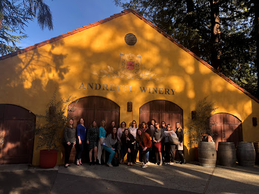 CINNAMONS WINE TOURS image