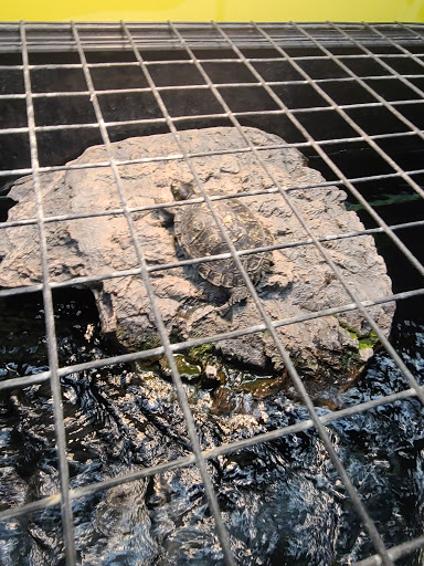 Pet Supply Store «Petco Animal Supplies», reviews and photos, 672 Freeman Ln, Grass Valley, CA 95945, USA