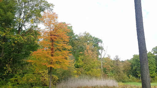 Golf Course «Cherry Creek Golf Club», reviews and photos, 52000 Cherry Creek Dr, Shelby Charter Township, MI 48316, USA