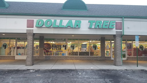 Dollar Store «Dollar Tree», reviews and photos, 266 N Telegraph Rd, Pontiac, MI 48341, USA