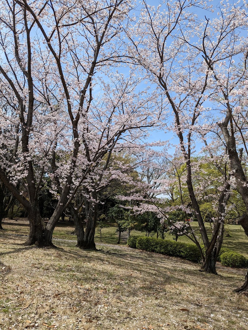 天然塚公園