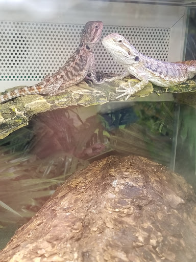 Pet Supply Store «PetSmart», reviews and photos, 4300 E Alameda Ave, Glendale, CO 80246, USA