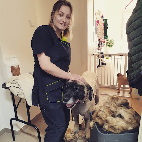 Foto von Irina Hundesalon