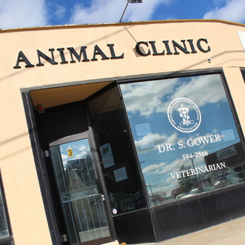 Woods Avenue Animal Clinic