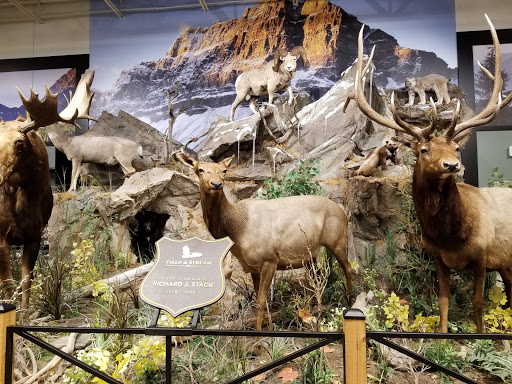 Outdoor Sports Store «Field & Stream», reviews and photos, 1501 Sentinel Dr Ste B, Chesapeake, VA 23320, USA