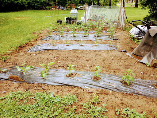 Hardware Store «Harbor Freight Tools», reviews and photos, 246 N West End Blvd, Quakertown, PA 18951, USA