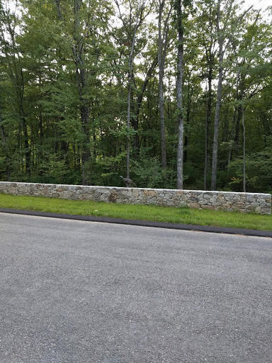 Country Club «Golf Courses - Hopkinton Country Club», reviews and photos, 204 Saddle Hill Rd, Hopkinton, MA 01748, USA