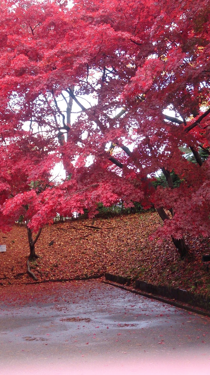 （有）中野自動車