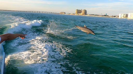 Boat Tour Agency «Sea Screamer», reviews and photos, 3605 Thomas Dr, Panama City, FL 32408, USA