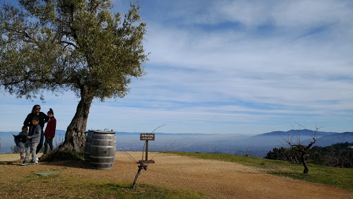 Winery «Ridge Vineyards», reviews and photos, 17100 Montebello Rd, Cupertino, CA 95014, USA